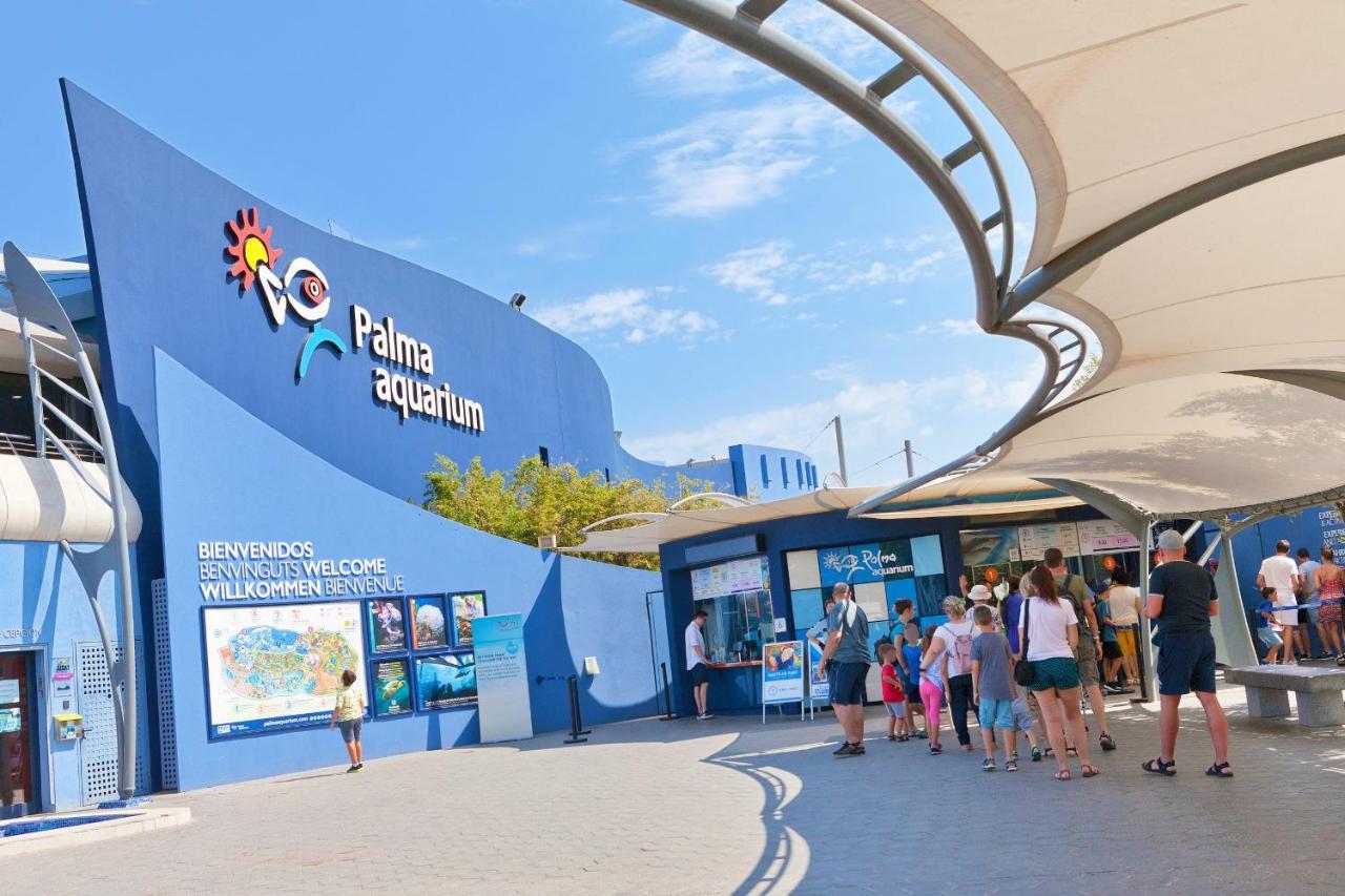 Villa Els Pins El Arenal (Mallorca)